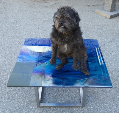 Bentley on glass coffee table